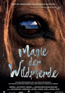 野马的魔力海报