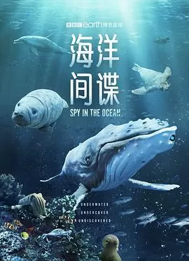 海洋间谍海报