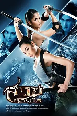 美女武士TheVanquisher海报