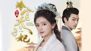 冷宫太子妃海报