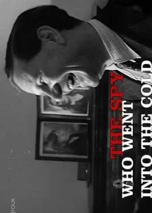 走进寒冷的间谍海报