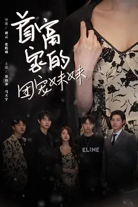 首富家的团宠妹妹海报