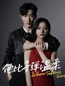 他比子弹温柔海报