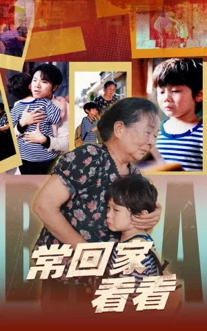 常回家看看海报