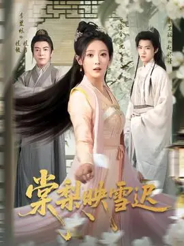 棠梨映雪迟海报