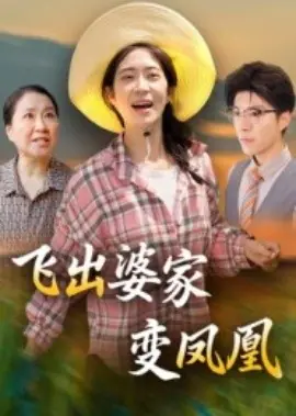 飞出婆家变凤凰海报