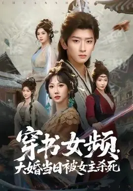 穿书女频,大婚当日被女主杀死海报