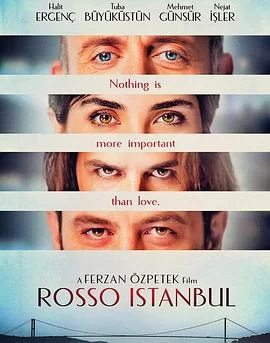 伊斯坦布尔红海报