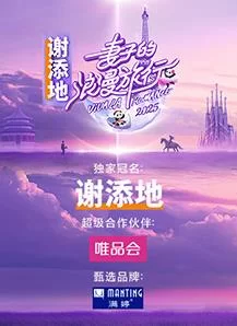 妻子的浪漫旅行2025海报