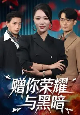 赠你荣耀与黑暗海报