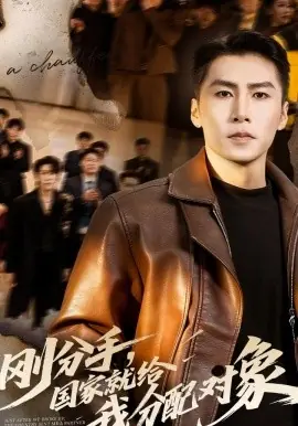 刚分手,国家就给我分配对象海报