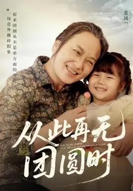 从此再无团圆时海报