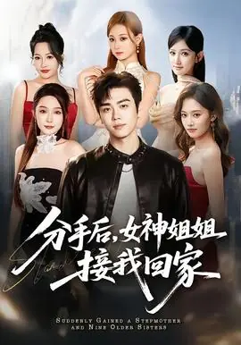 分手后,女神姐姐接我回家海报