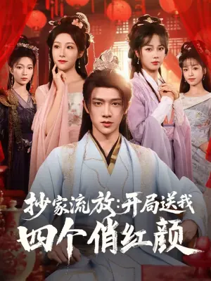 抄家流放:开局送我四个俏红颜海报