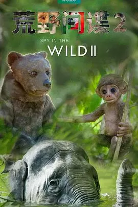 荒野间谍第二季海报