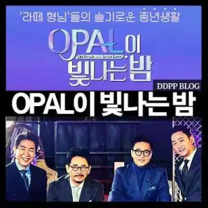 OPAL闪耀的夜海报