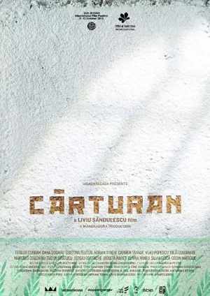 爷爷的告别海报