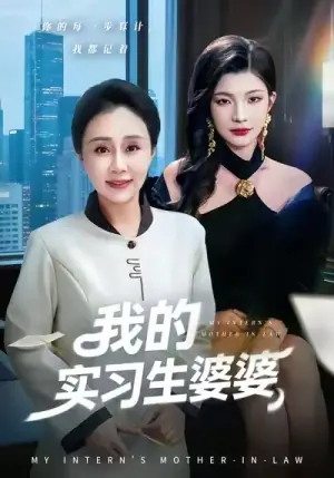 我的实习生婆婆海报