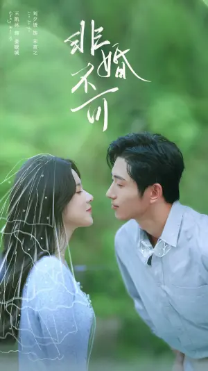 非婚不可海报