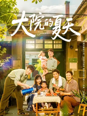 大院的夏天海报