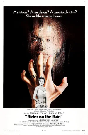 雨中的乘客海报