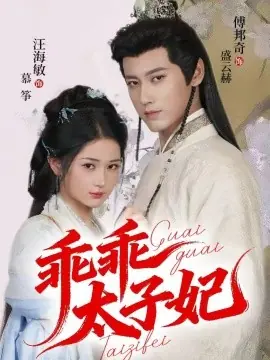 乖乖太子妃海报