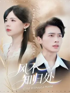 风不知归处海报
