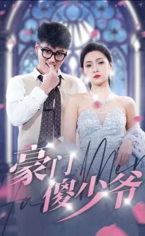 豪门傻少爷海报