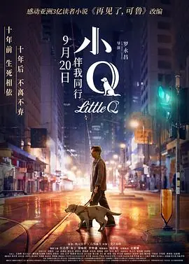 小Q海报