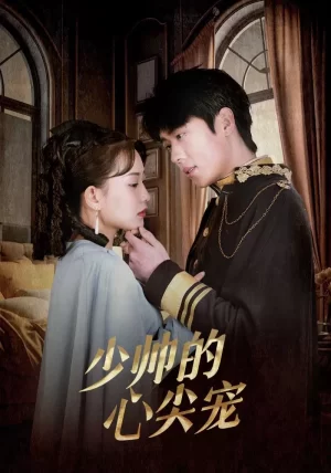 少帅的心尖宠海报