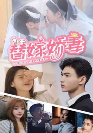 替嫁娇妻海报