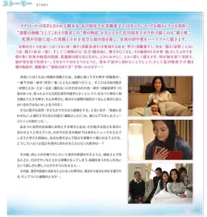 母亲的最后一日海报