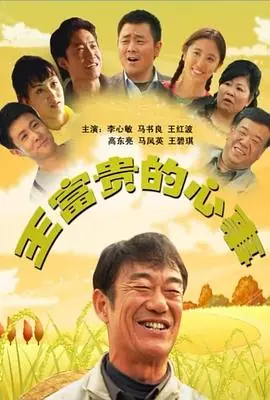 富贵的流浪汉海报