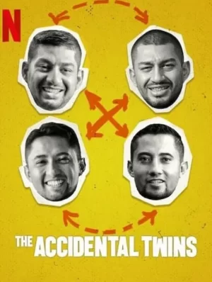 双胞胎乌龙:翻倍的兄弟情海报