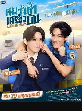 爱冲云霄海报