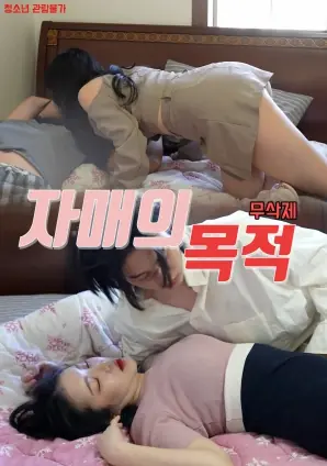 姐妹的意图海报