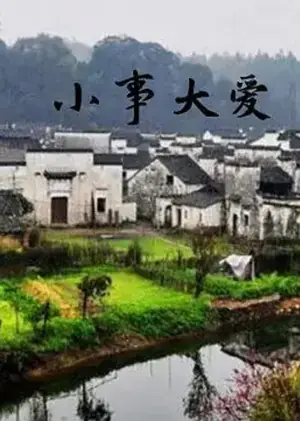 小事大爱海报
