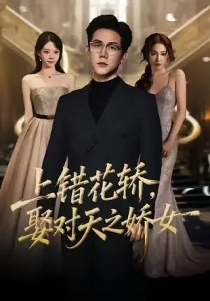 上错花轿-娶对天之娇女海报