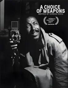 哥顿,派克斯的艺术生涯海报