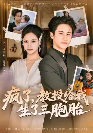 疯了,教授给我生了三胞胎海报