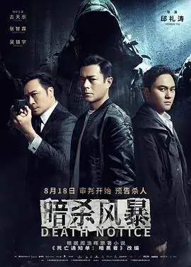 暗杀风暴(国语)海报