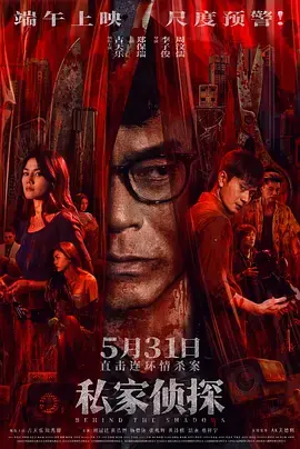 私家侦探[电影解说]海报