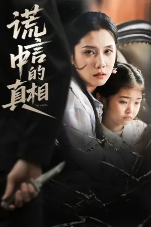 谎言中的真相海报