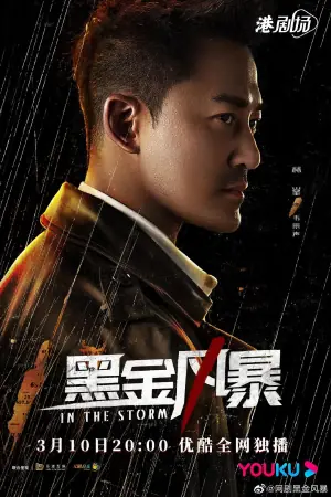 黑金风暴(粤语)海报