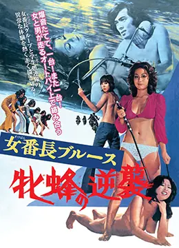 女番长布鲁斯:雌蜂的逆袭海报
