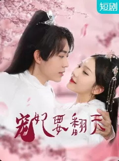 宠妃要翻天海报