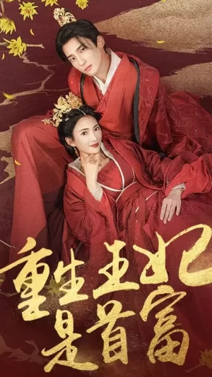 重生王妃是首富海报