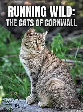 RunningWild:TheCatsofCornwall海报