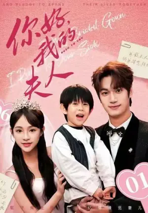 你好,我的夫人海报