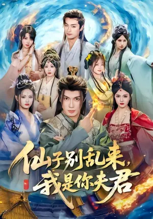 仙子别乱来,我是你夫君海报